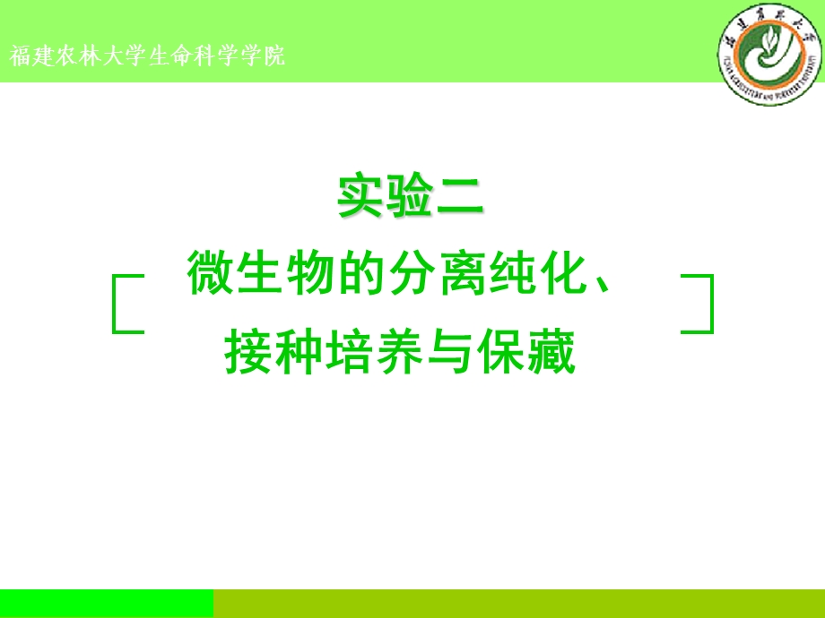 实验三微生物的分离纯化与观察.ppt_第1页