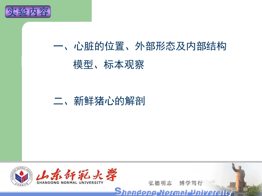 实验5心脏大体形态结构观察.ppt_第2页