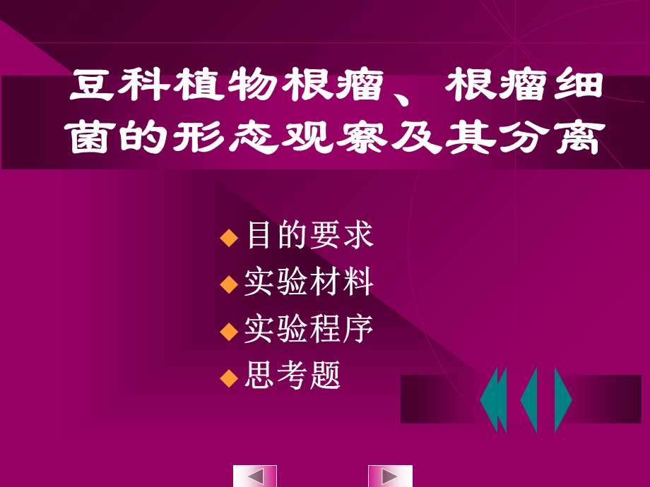 实验十八豆科植物根瘤、根瘤细菌的形态观察及其分离.ppt_第2页