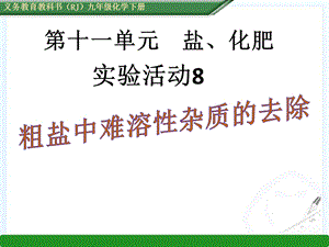 实验活动8粗盐中难溶性杂质的去除ppt.ppt