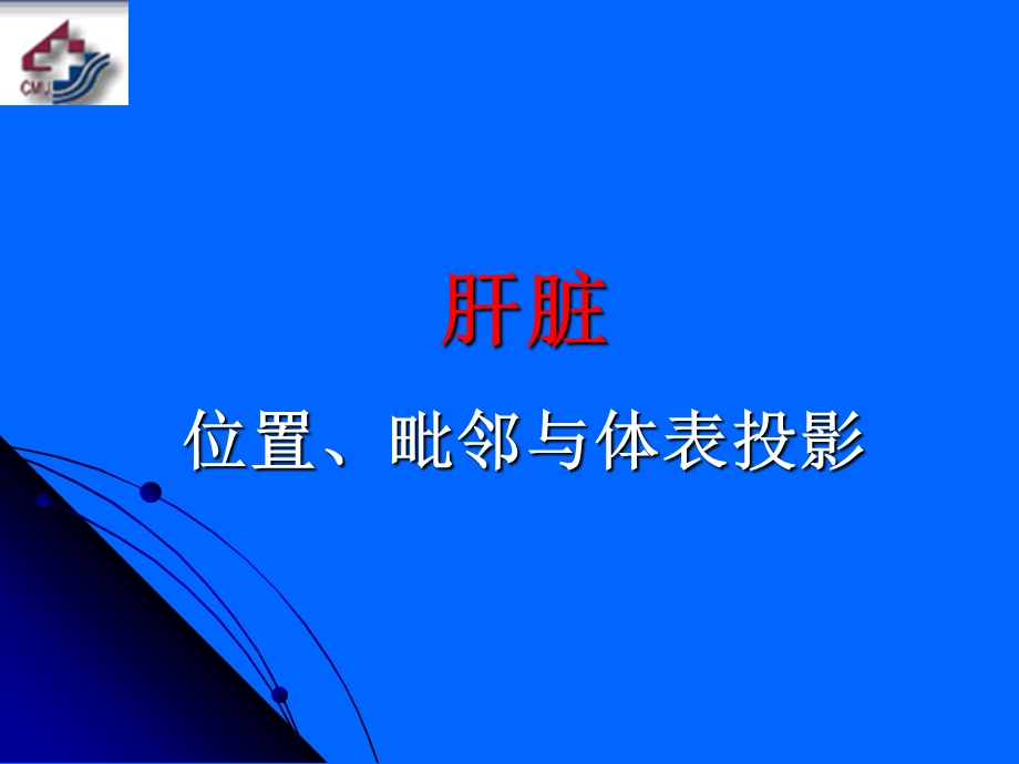 局解肝脏及肝外胆道正式.ppt_第2页