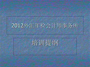 外汇年检会计师事务所.ppt