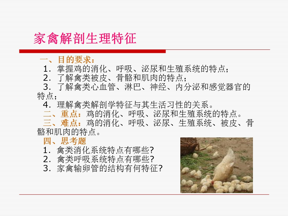 家禽的解剖生理-动物解剖学.ppt_第3页