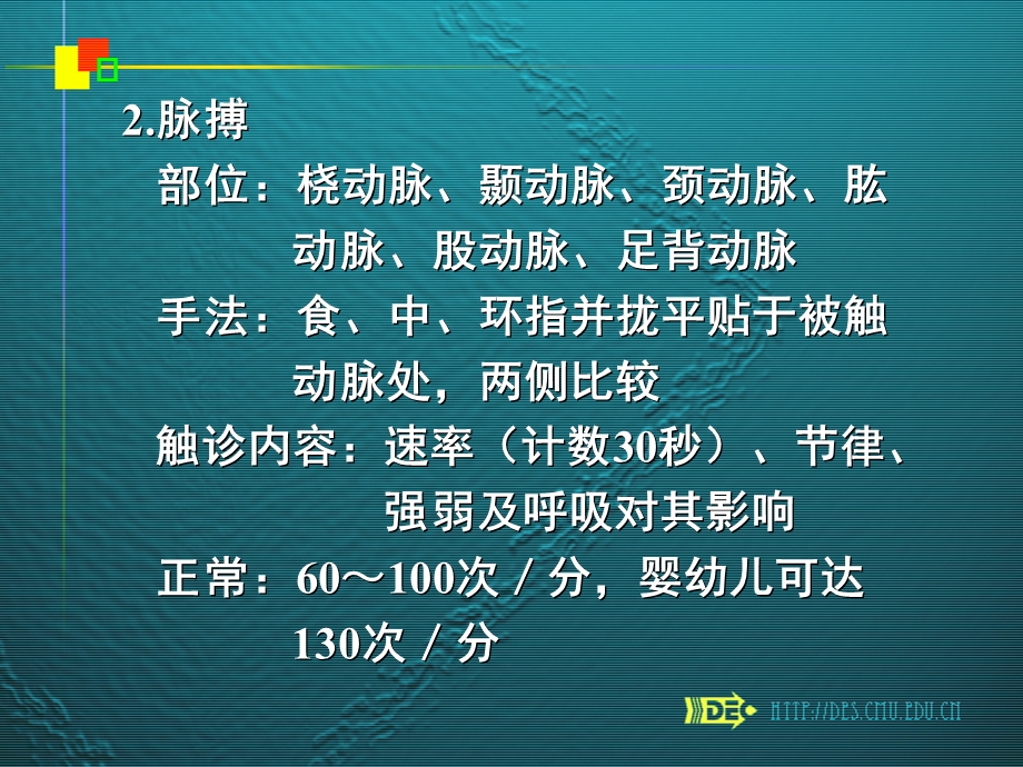 二章一般检查.ppt_第3页