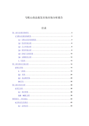 马鞍山商品批发市场市场分析报告.docx