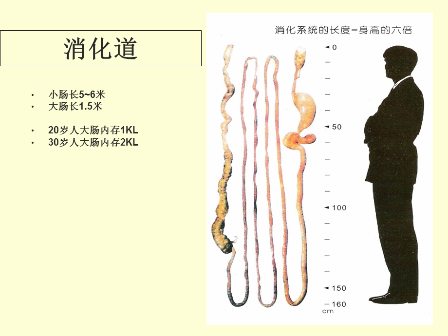 太阳神清之颜解读.ppt_第2页