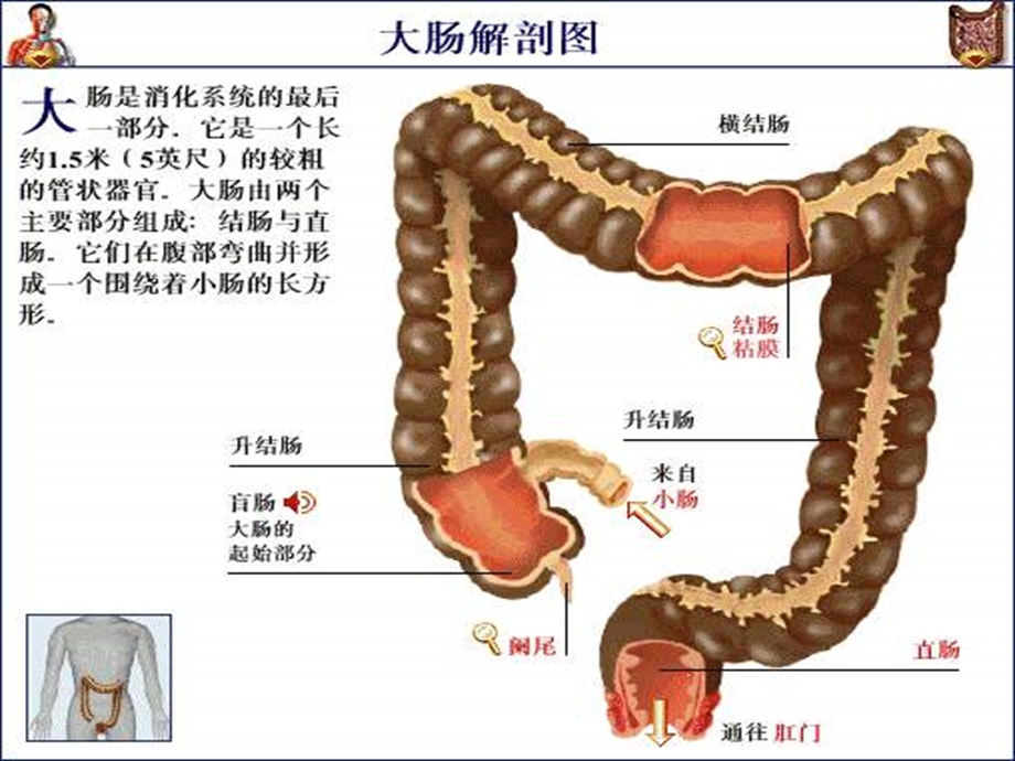 太阳神清之颜解读.ppt_第3页