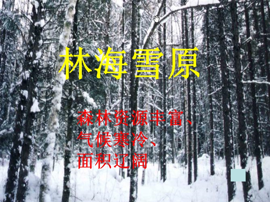 山东人民版思品五年级下册PPT课件《林海雪原》.ppt_第2页