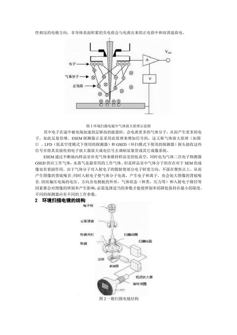 环境扫描电子显微镜及其应用.docx_第2页