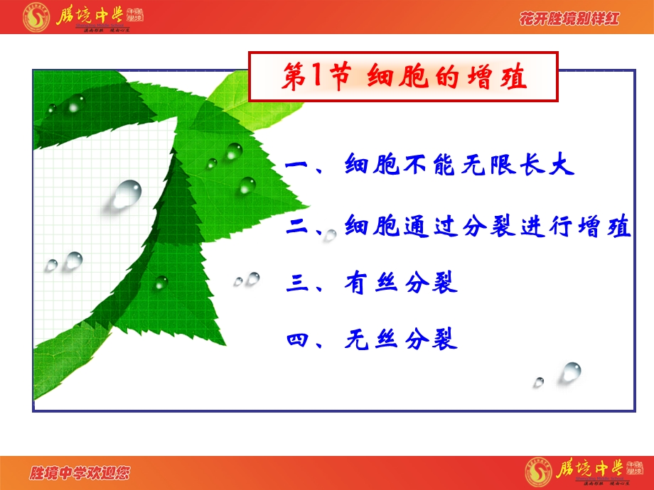 6.1细胞的增殖.ppt_第1页