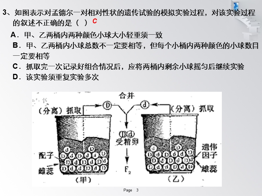 基因分离定律题型.ppt_第3页