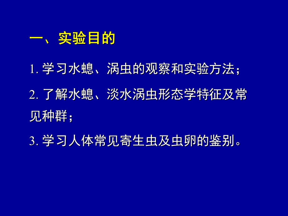 实验2水螅、涡虫及寄生虫.ppt_第2页