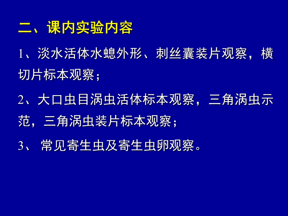 实验2水螅、涡虫及寄生虫.ppt_第3页