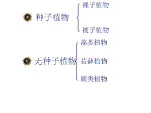 常见的植物课时.ppt