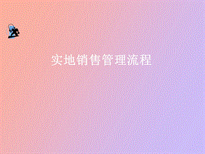 实地销售管理流程.ppt