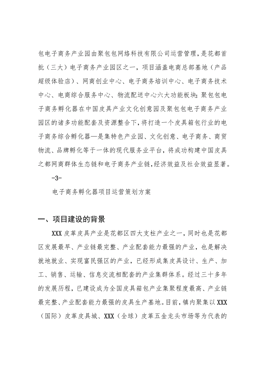 电子商务孵化器项目运营策划方案.docx_第3页