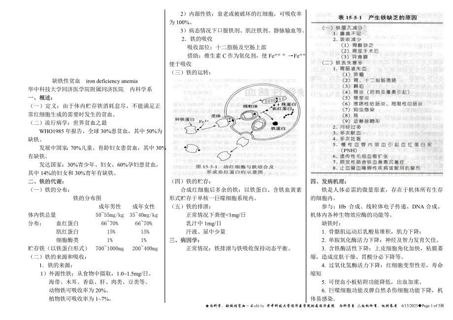 缺铁性贫血.doc_第1页