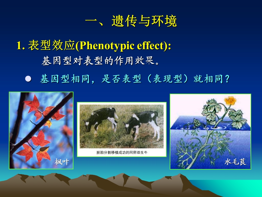 基因的作用及其与环境的关系张飞雄.ppt_第3页