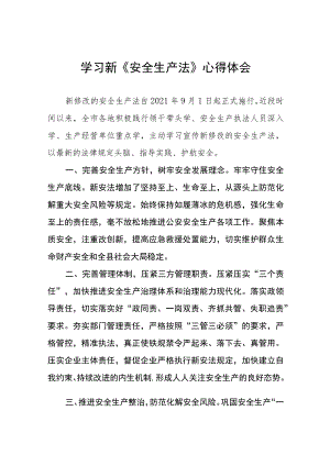 电力人员学习新《安全生产法》心得体会十篇样例.docx