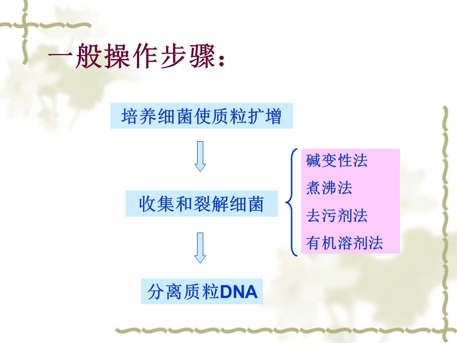 实验八质粒DNA的小量制备.ppt_第2页