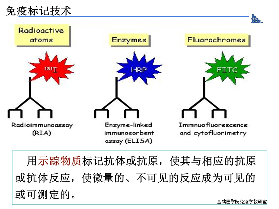 实验酶联免疫吸附测定.ppt_第3页