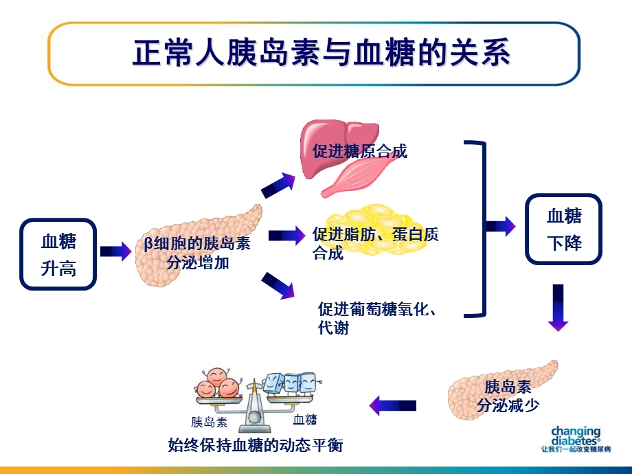 基层医生大课堂糖尿病专题.ppt_第3页