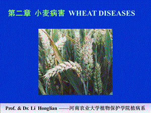 小麦病害WHEATDISEASES普通农业植物病理学教学.ppt