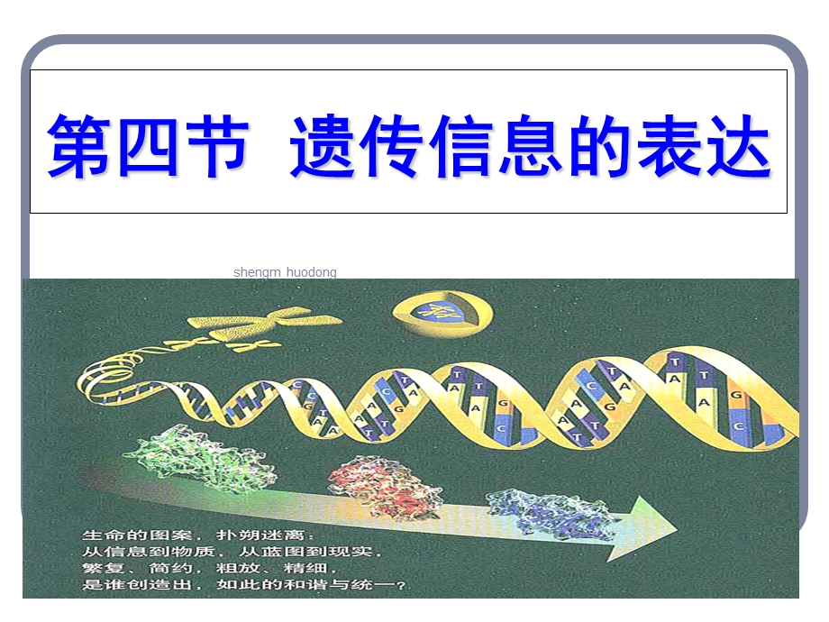 基因指导蛋白质的合成整理.ppt_第1页