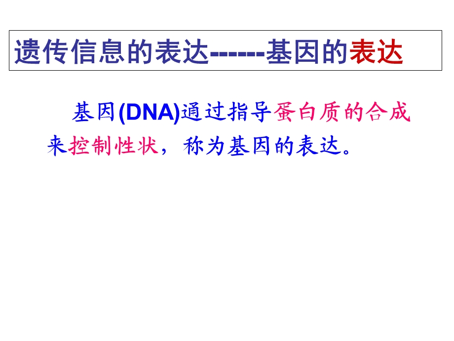 基因指导蛋白质的合成整理.ppt_第2页