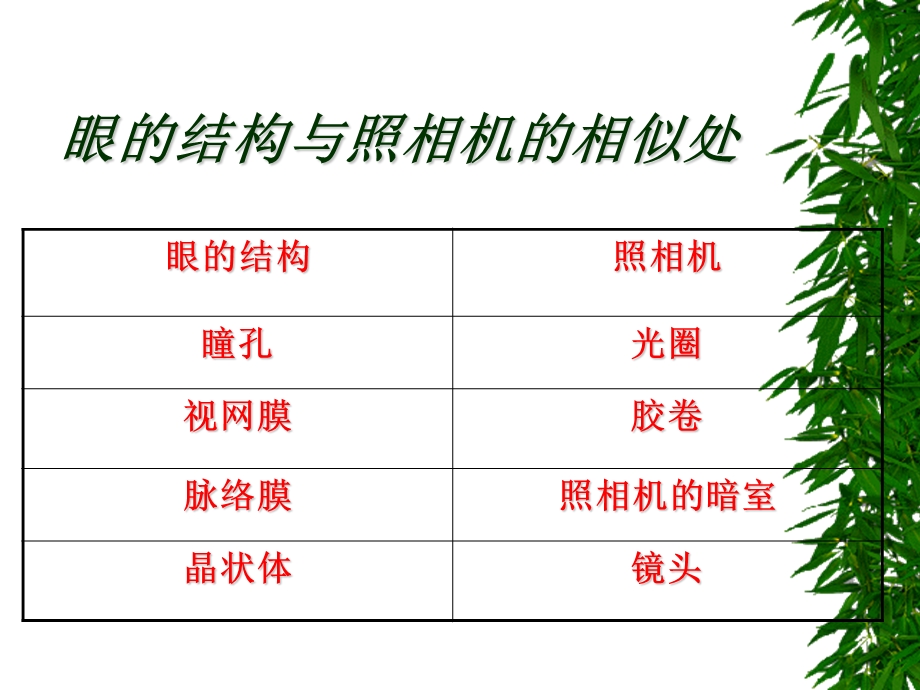 外界物体在视网膜上成像示意.ppt_第3页