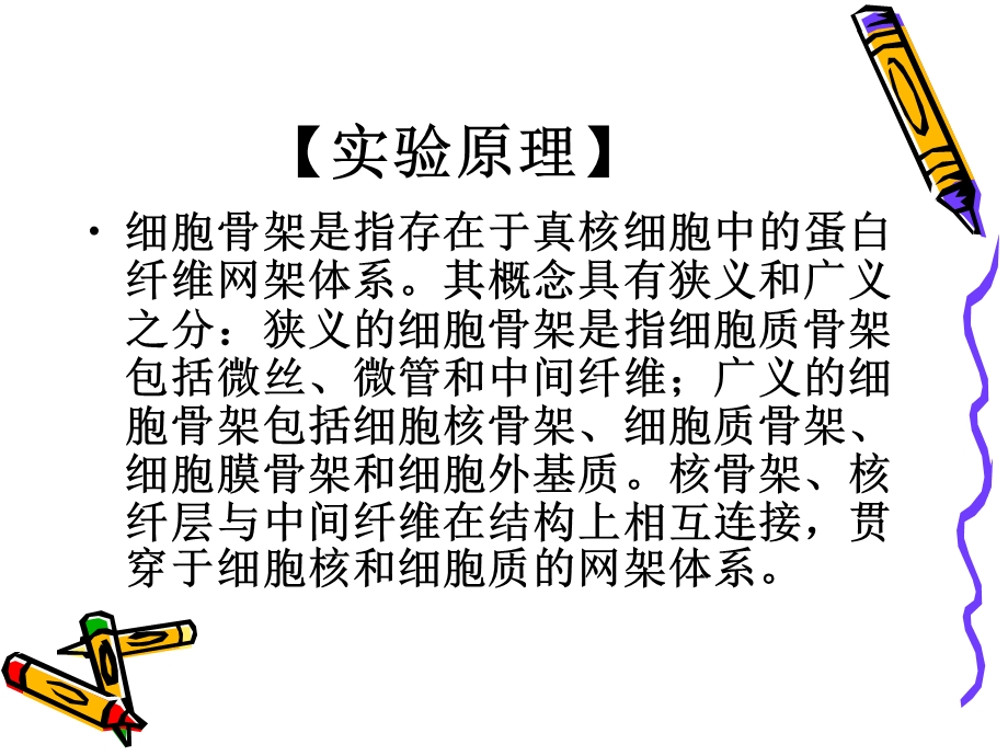 实验细胞骨架的观察.ppt_第3页