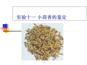 实验十一-小茴香的鉴定.ppt