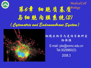 基础医学细胞生物学-细胞质基质与内膜系统.ppt