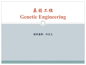 基因工程第四章12-16课时.ppt