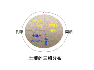 土壤孔性和结构性.ppt