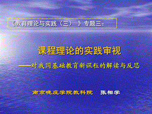 基础教育课程改革解读-课程理论的实践审视.ppt