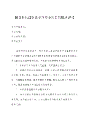 镇赉县县级财政专项资金项目信用承诺书.docx