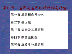 基因与基因组.ppt