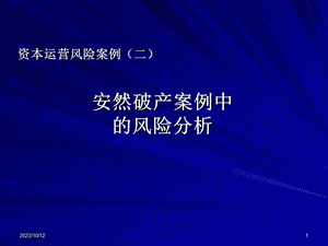 安然破产案例中的风险分析.ppt