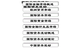 5第5章国际金融市场及资本流动.ppt