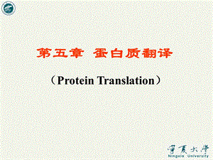 基因表达2蛋白质翻译.ppt