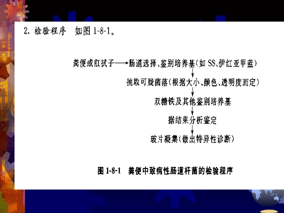 实验六标本中病原菌的分离培养与鉴定.ppt_第2页