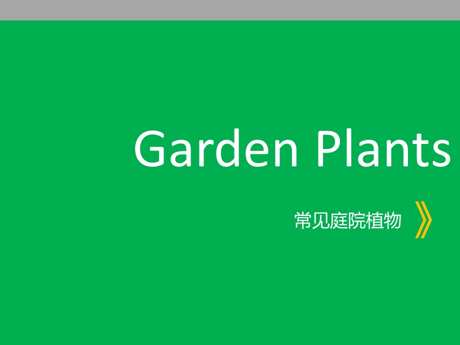 庭院设计4-庭院植物.ppt_第2页