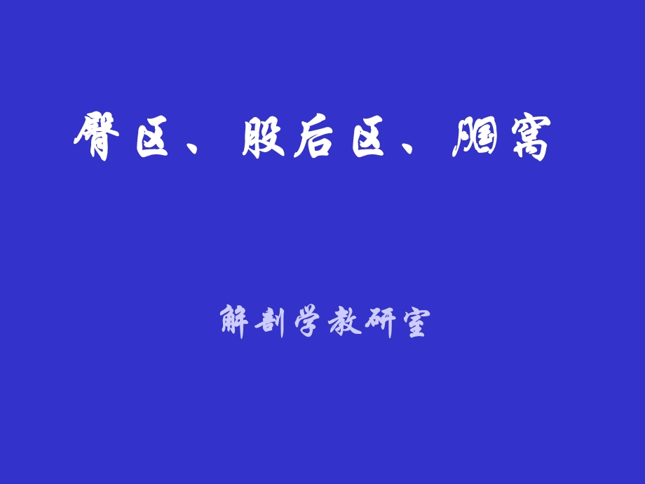 局部解剖学03臀区、股后、腘窝.ppt_第1页