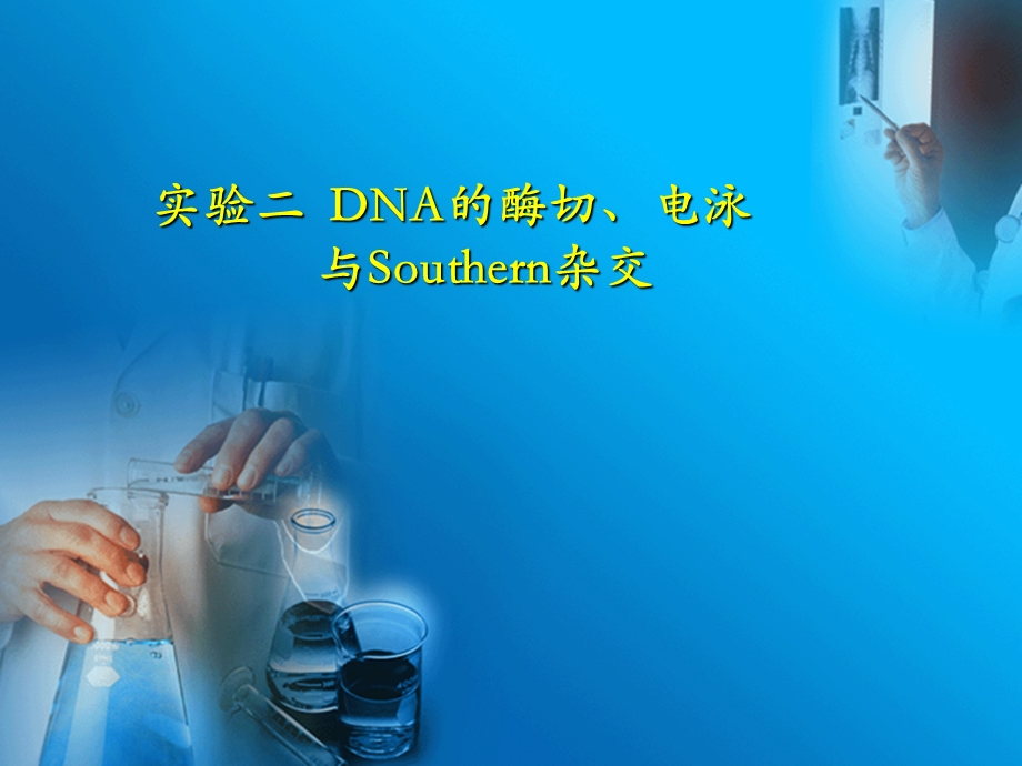 实验二DNA的酶切、电泳与Southern杂交.ppt_第1页
