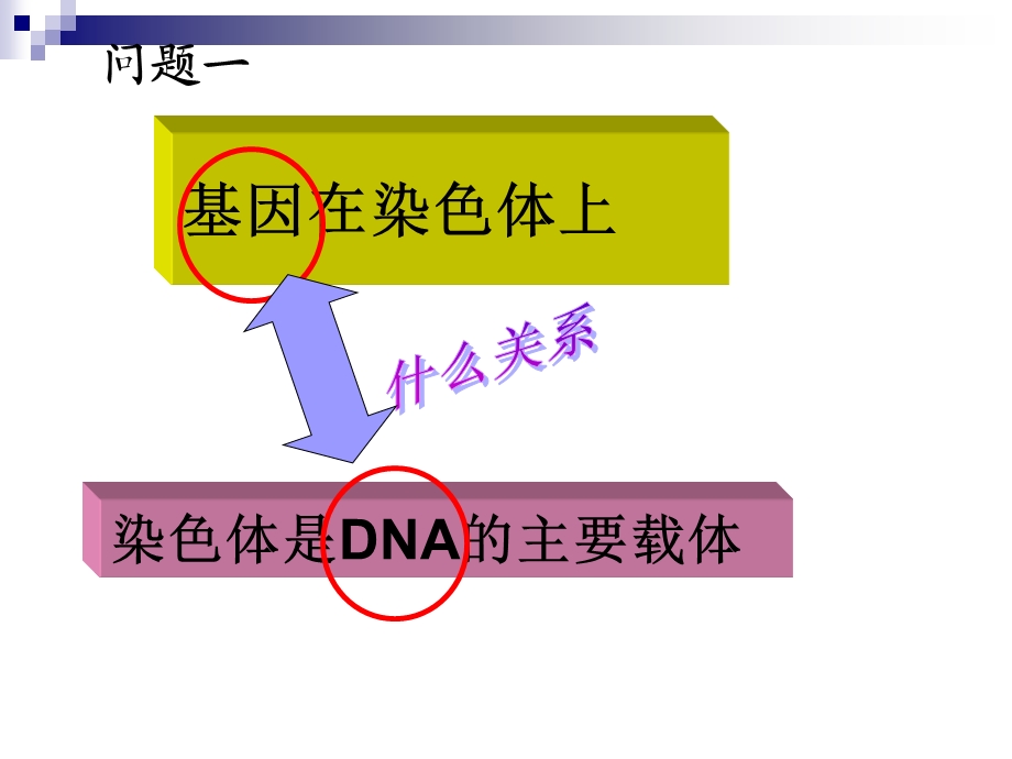 基因是有遗传效应的dna片段(好).ppt_第3页