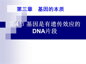 基因是有遗传效应的dna片段(好).ppt