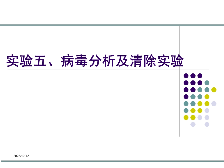 实验病毒分析及清除实验.ppt_第1页