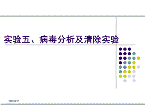 实验病毒分析及清除实验.ppt