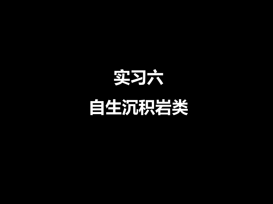 实习6白云岩和硅质岩.ppt_第1页